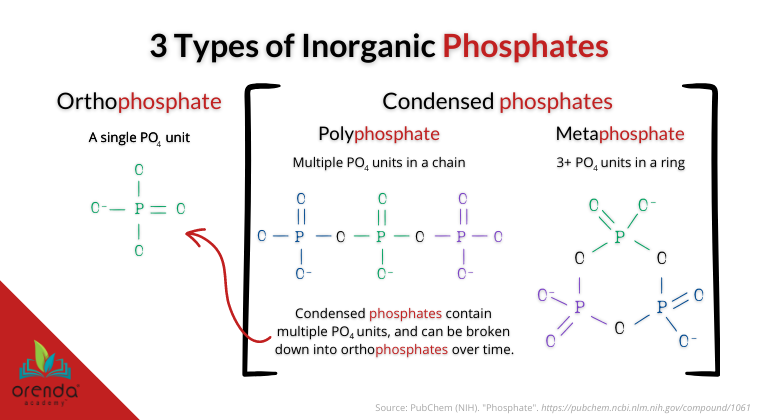 What Is Orthophosphate in Water